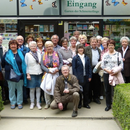 Größeres Bild ansehen