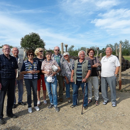 Größeres Bild ansehen