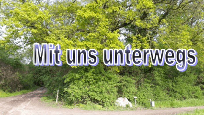 Mit uns unterwegs - Familienausflug durch unseren Kottenforst