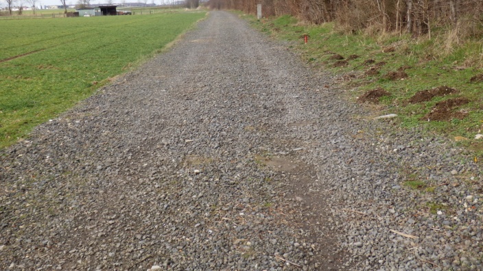 Feldweg Miel