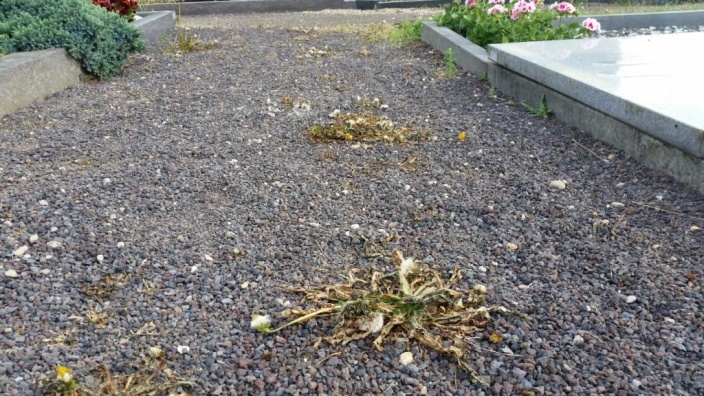 Friedhof